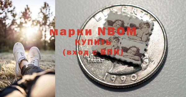 PSILOCYBIN Алзамай